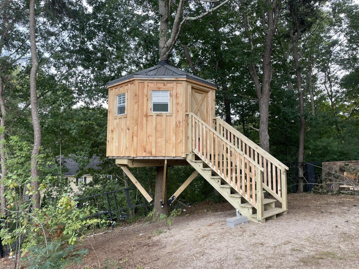 Tree House Chicken Coop